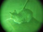 Nvint-gr-3x-b Varo Laser Image Intensifier Optical