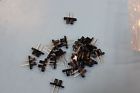 Opb365t55 Optek 24 New Phototransistor Opb365t55 Optek 24 New Phototransistor
