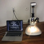 Fisher Sci. Stereozoom Trinocular Microscope Stand 5MP Camera 6.5-60X Mac/pc. Fixed Price $999.00.